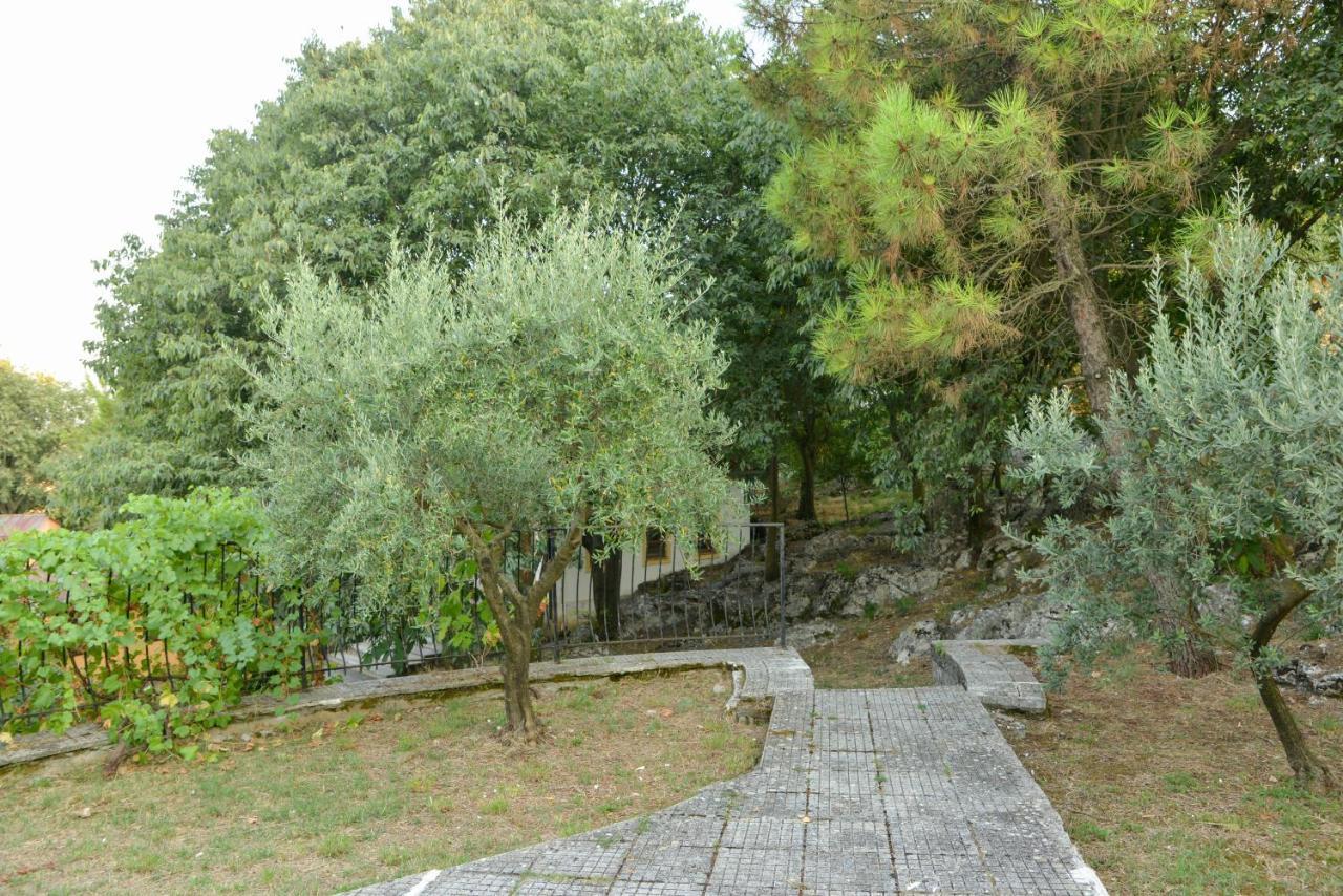 Village Of Peace - House 38 Shkodër Exteriér fotografie